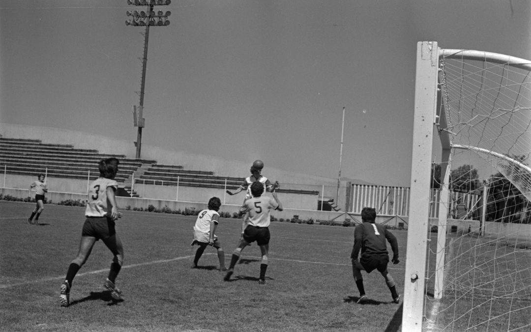 UTE-COM-NN-000397-017