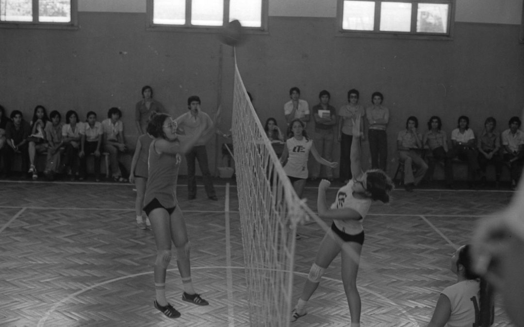 UTE-COM-NN-000439-019