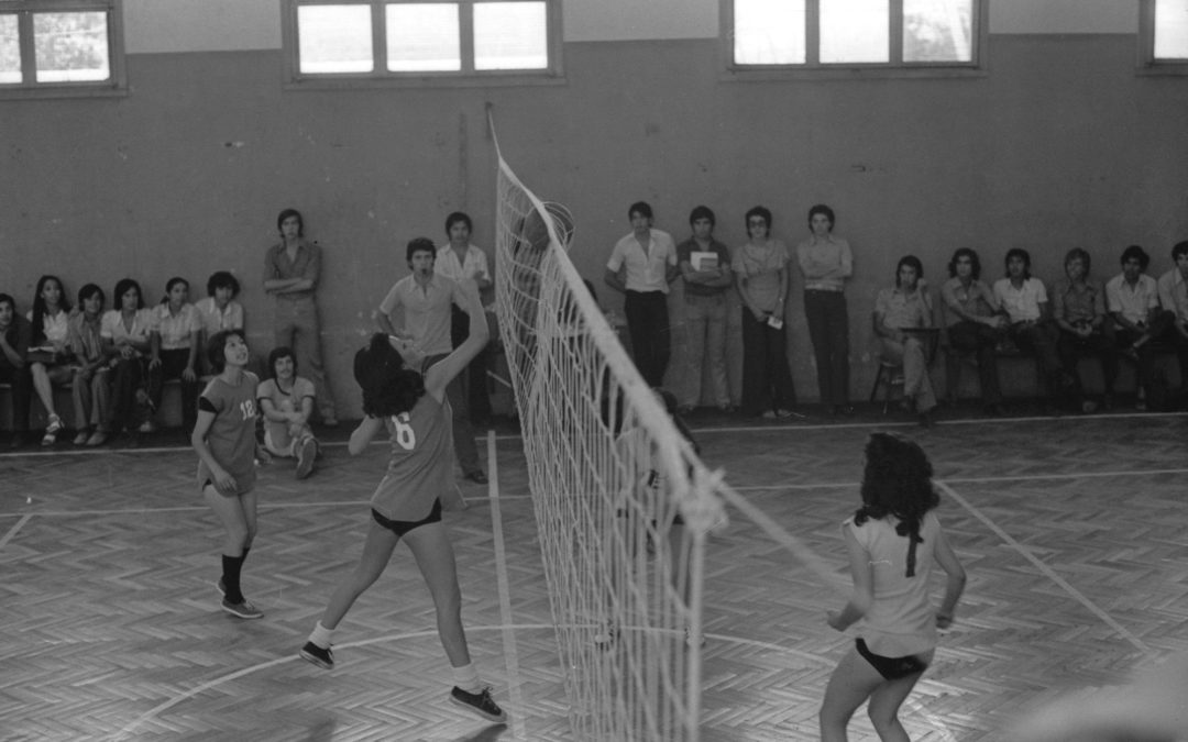 UTE-COM-NN-000440-019