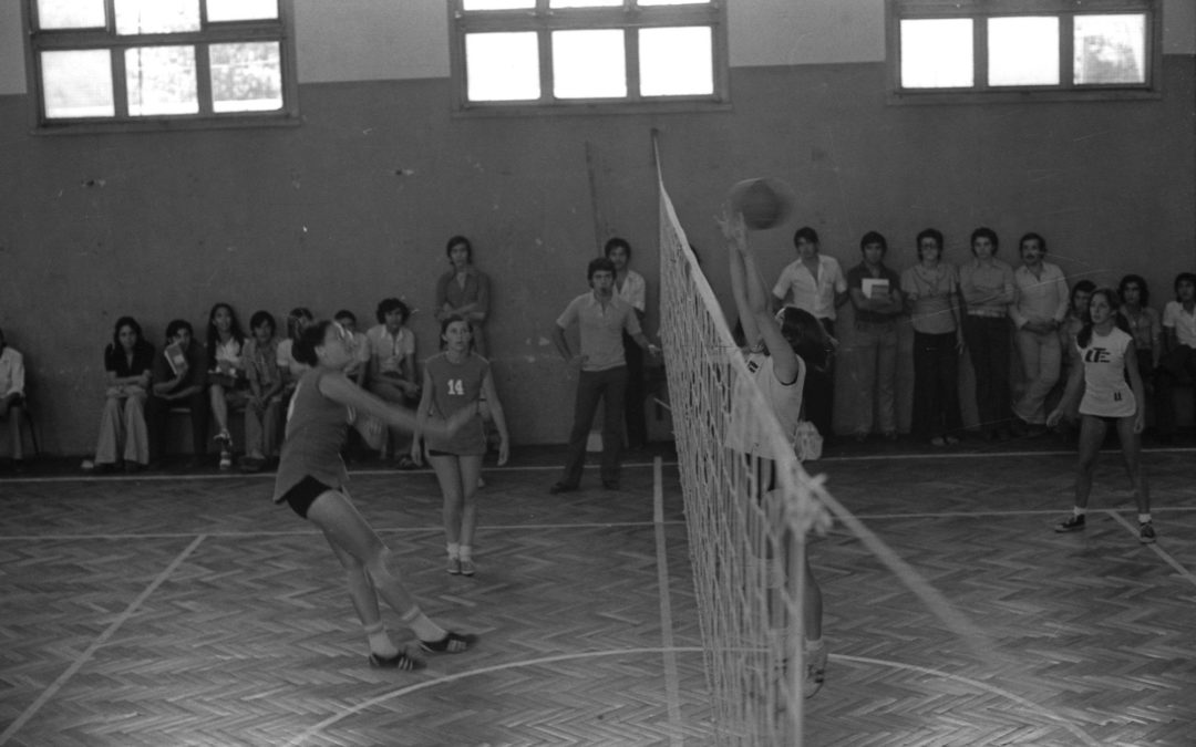 UTE-COM-NN-000441-019