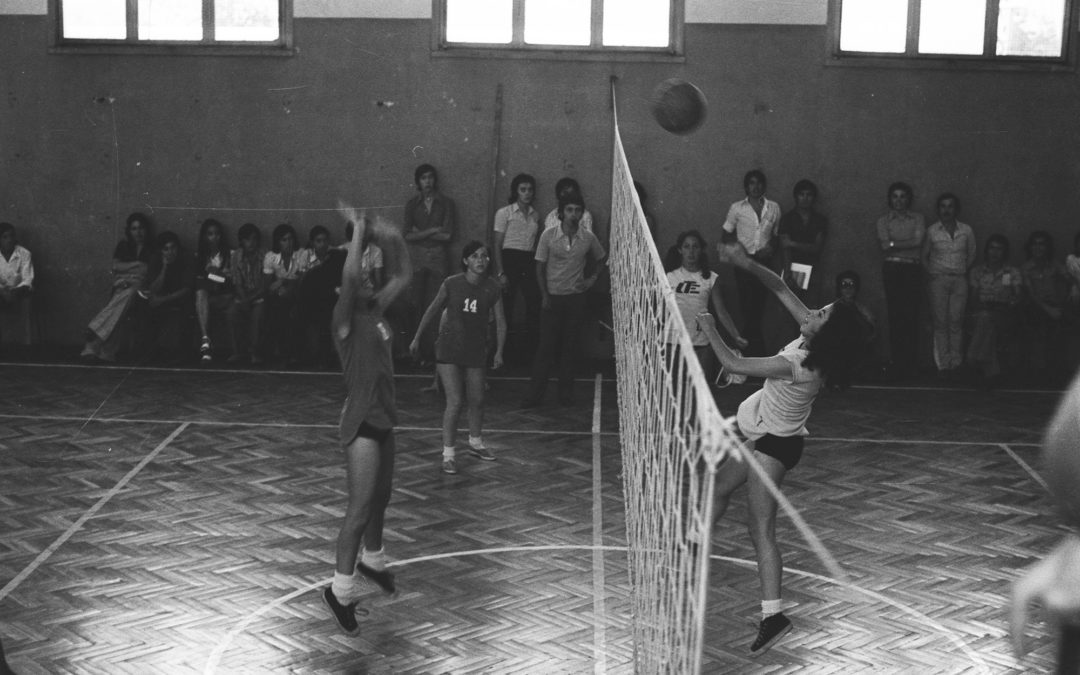 UTE-COM-NN-000442-019