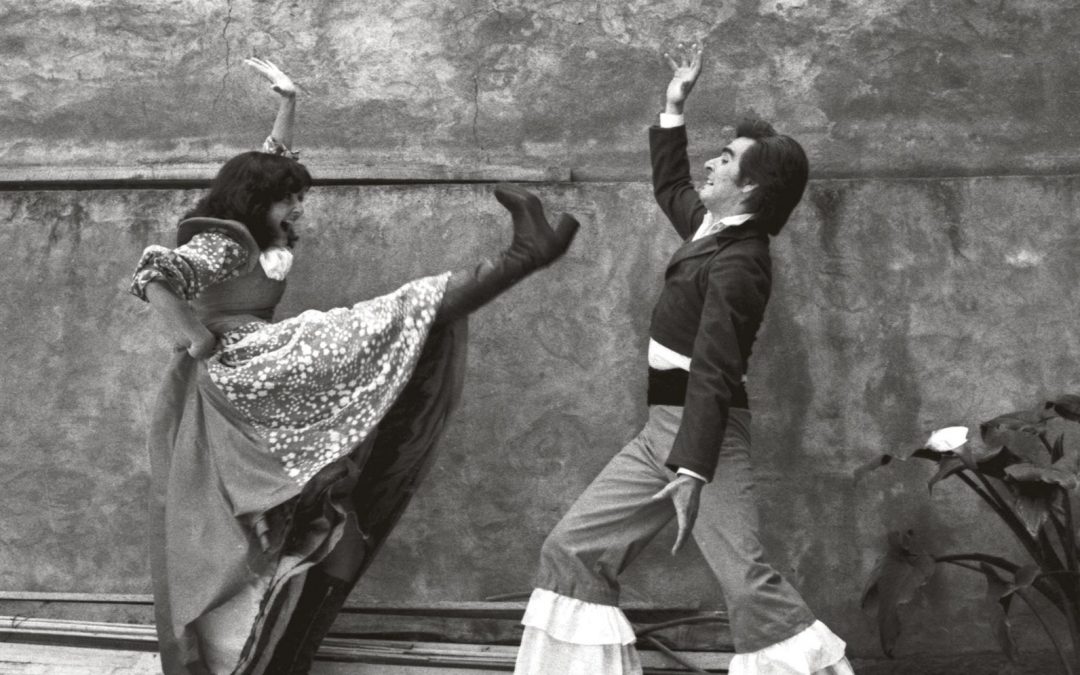 La fierecilla domada