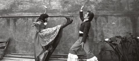 La fierecilla domada