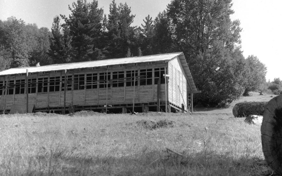 NA-002813-2666