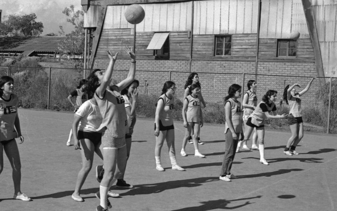 Vóleibol