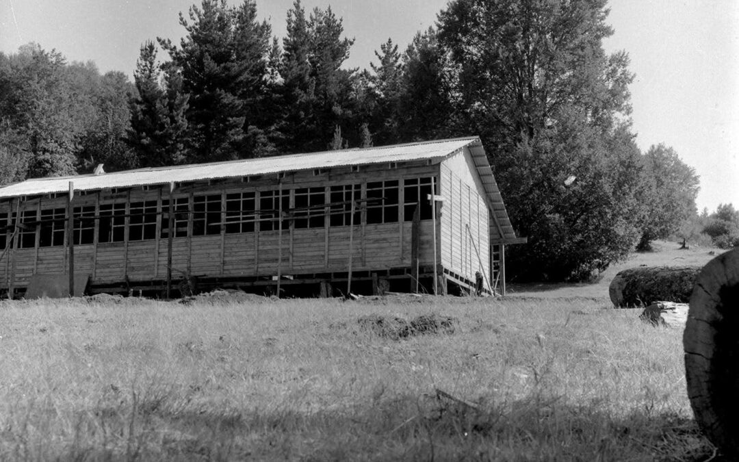 NA-002813-2666